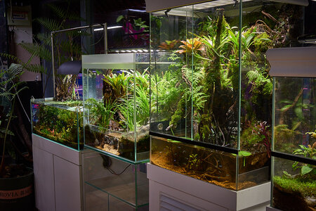 2019.05.21_05-27-13.jpg