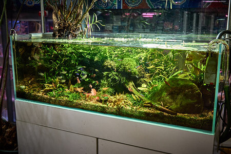 2019.05.21_05-27-26.jpg