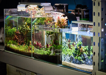 2019.05.21_05-31-28.jpg