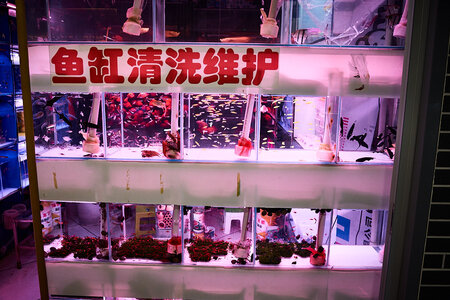 2019.05.21_05-31-48.jpg
