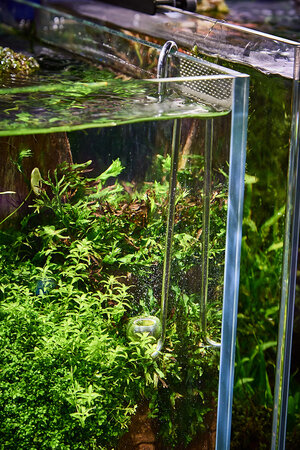 2019.05.21_05-38-25.jpg