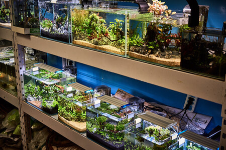 2019.05.21_05-39-22.jpg