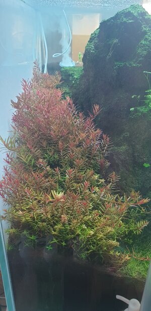 20190628_200015.jpg