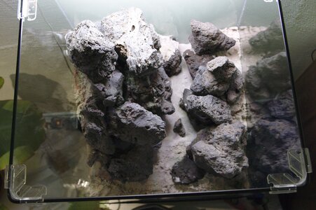 IMG_6276_70.jpg
