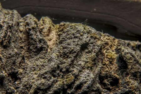 IMG_6541-hdr_60.jpg
