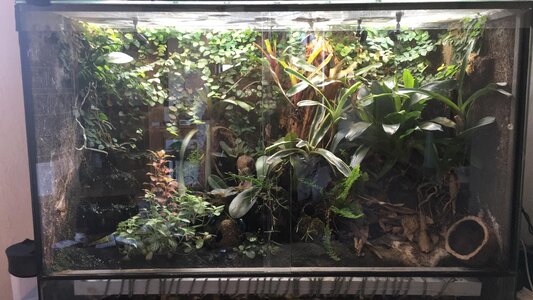 terrarium.jpg