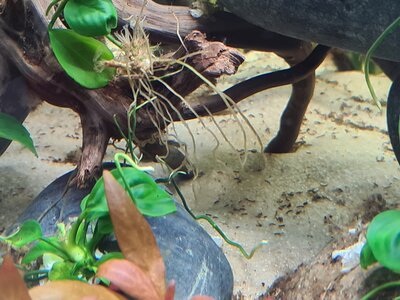 20200804_135633.jpg