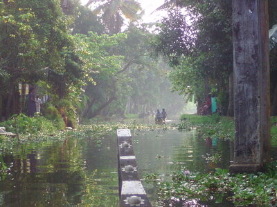 BILD0812.jpg