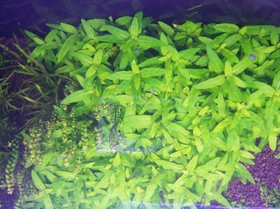 100_5759.JPG