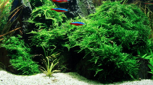DSC03356b.JPG