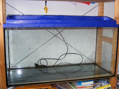 Aquarium1.jpg