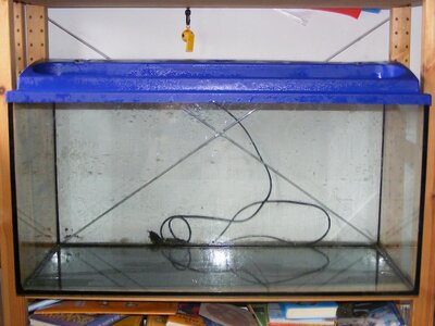 Aquarium2.jpg