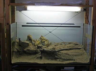 Layout1(2).jpg