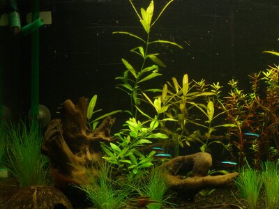 112l Aquarium! ka x) 002.jpg