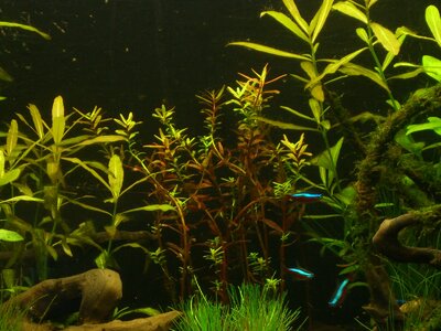 112l Aquarium! ka x) 003.jpg