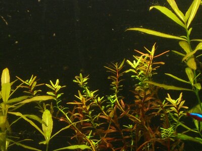 112l Aquarium! ka x) 004.jpg