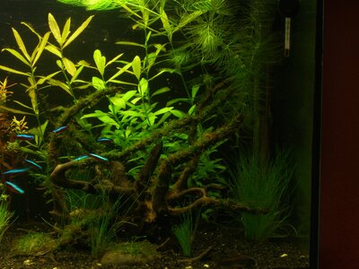 112l Aquarium! ka x) 005.jpg