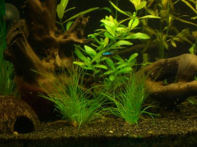 112l Aquarium! ka x) 007.jpg