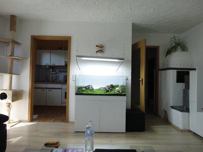 DSC02789.JPG