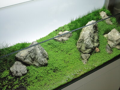 DSC02792.JPG