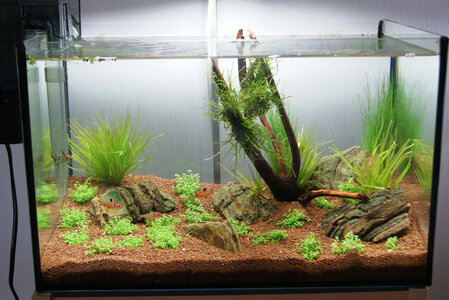 20l.jpg