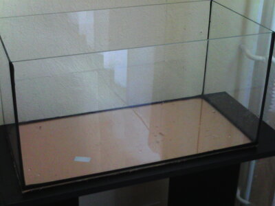 Aquarium+weitere 007.jpg