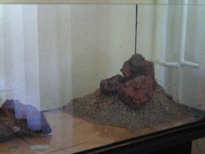 Aquarium+weitere 008.jpg