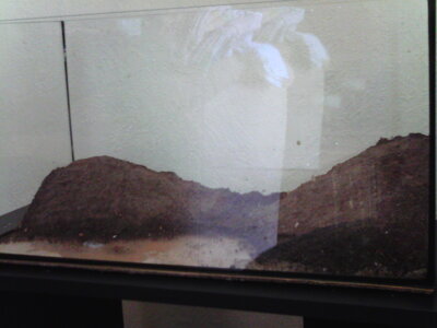 Aquarium+weitere 011.jpg