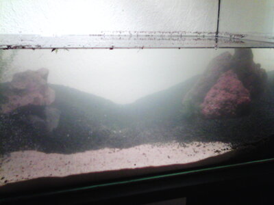 Aquarium+weitere 017.jpg
