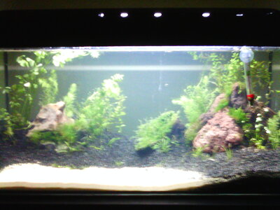 Aquarium+weitere 023.jpg