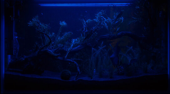 72L_2010-08-07.jpg