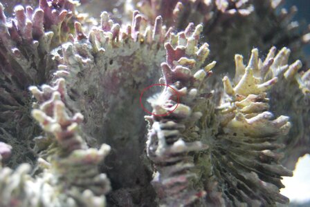 DSC_0248.JPG