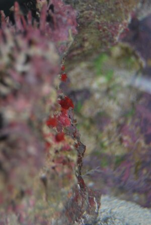 DSC_0256.JPG