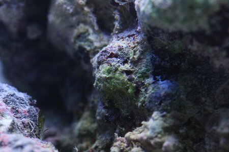 IMG_3765.JPG