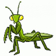 Mantis