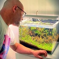 franks_aquarium