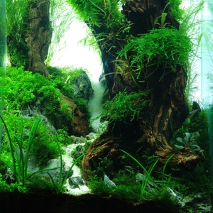 Nano Cube