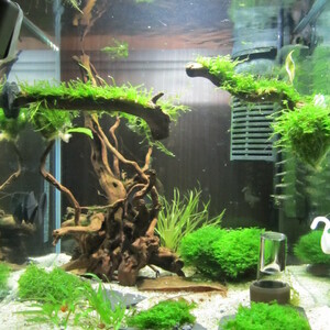 Alle Becken