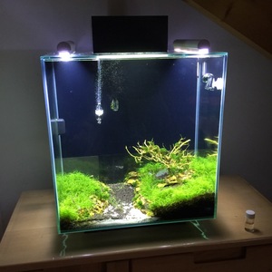 Fluval Edgde 2