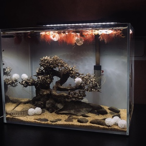 Nansui