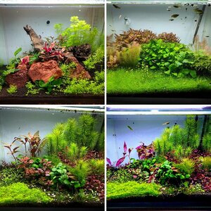 50er Scapers Tank