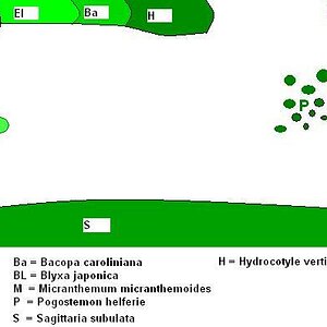 Pflanzplan