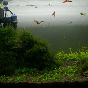 Imgp4656