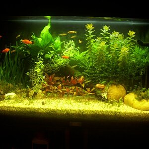 Aquarium Am 9. März