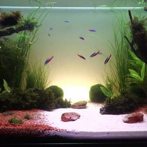 160 l