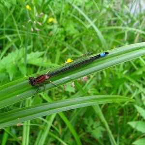 Naturbilder
