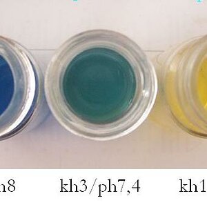 24h abgestandene Ph-Tests