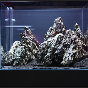 Hardscape23h43