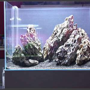 Hardscape23h59