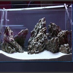 Hardscape15h26